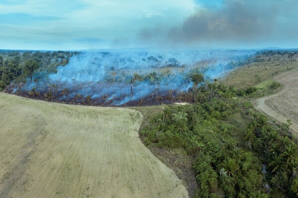 amazonas fire