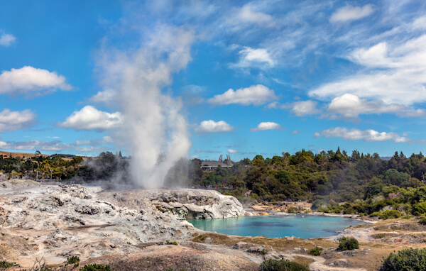 new zealand pohutu geyser