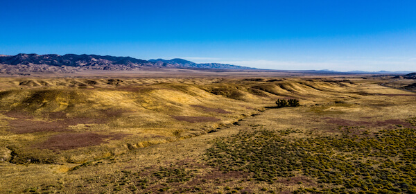 San Andreas Fault as seen from Highway 138 in California - image by Joel Hensler/shutterstock