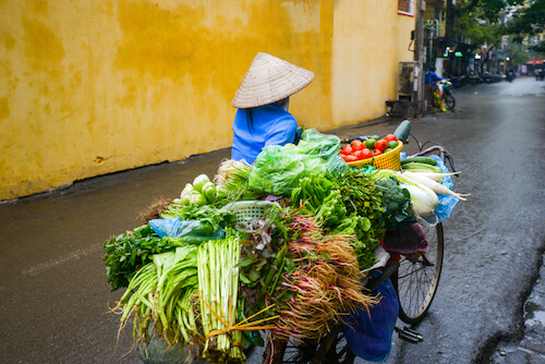 Vietnam Street Vendor