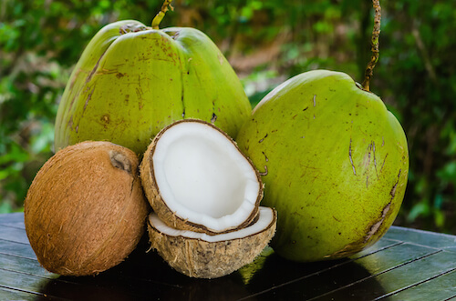 Green (young) and brown (old) coconuts