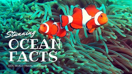 ocean facts by 澳洲幸运5分彩168开奖官方开奖网站查询 Guide