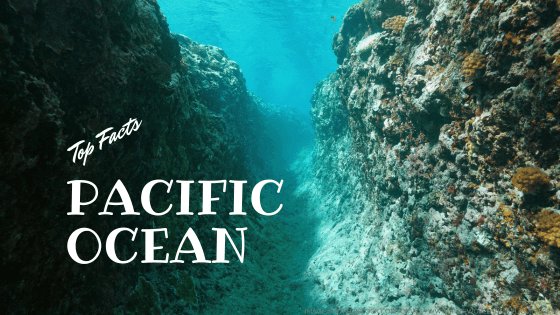 pacific ocean facts for kids by kids world travel guide